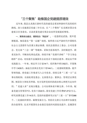 交流发言：“三个聚焦”助推国企党建提质增效.docx