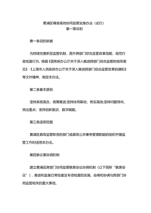 黄浦区精准高效协同监管实施办法.docx