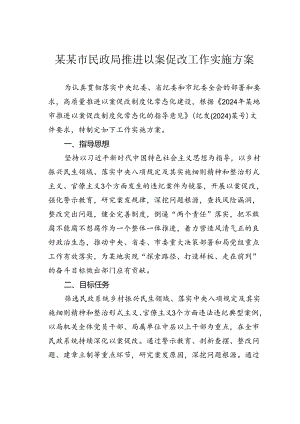 某某市民政局推进以案促改工作实施方案.docx