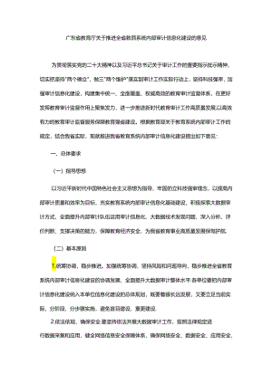 广东省教育厅关于推进全省教育系统内部审计信息化建设的意见.docx