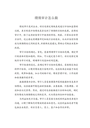 绩效审计怎么做.docx