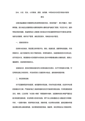 山东玉米、大豆、花生、小宗粮食、蔬菜、食用菌、中药材应对洪涝灾害技术指导意见.docx