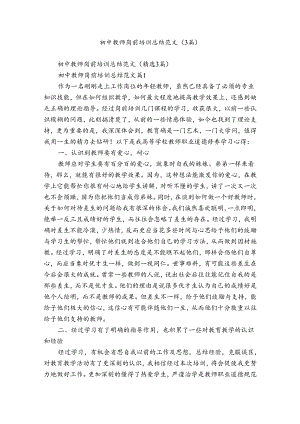 初中教师岗前培训总结范文（3篇）.docx
