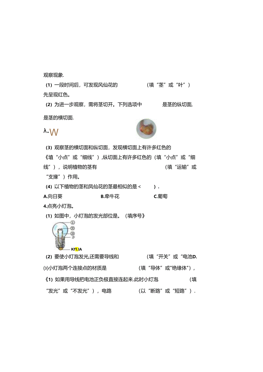 教科版2023--2024学年度第二学期四年级科学下册期末测试卷及答案(含两套题).docx_第3页