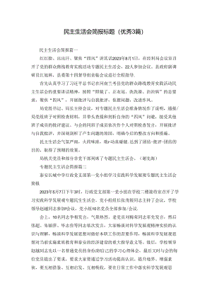 民主生活会简报标题（优秀3篇）.docx