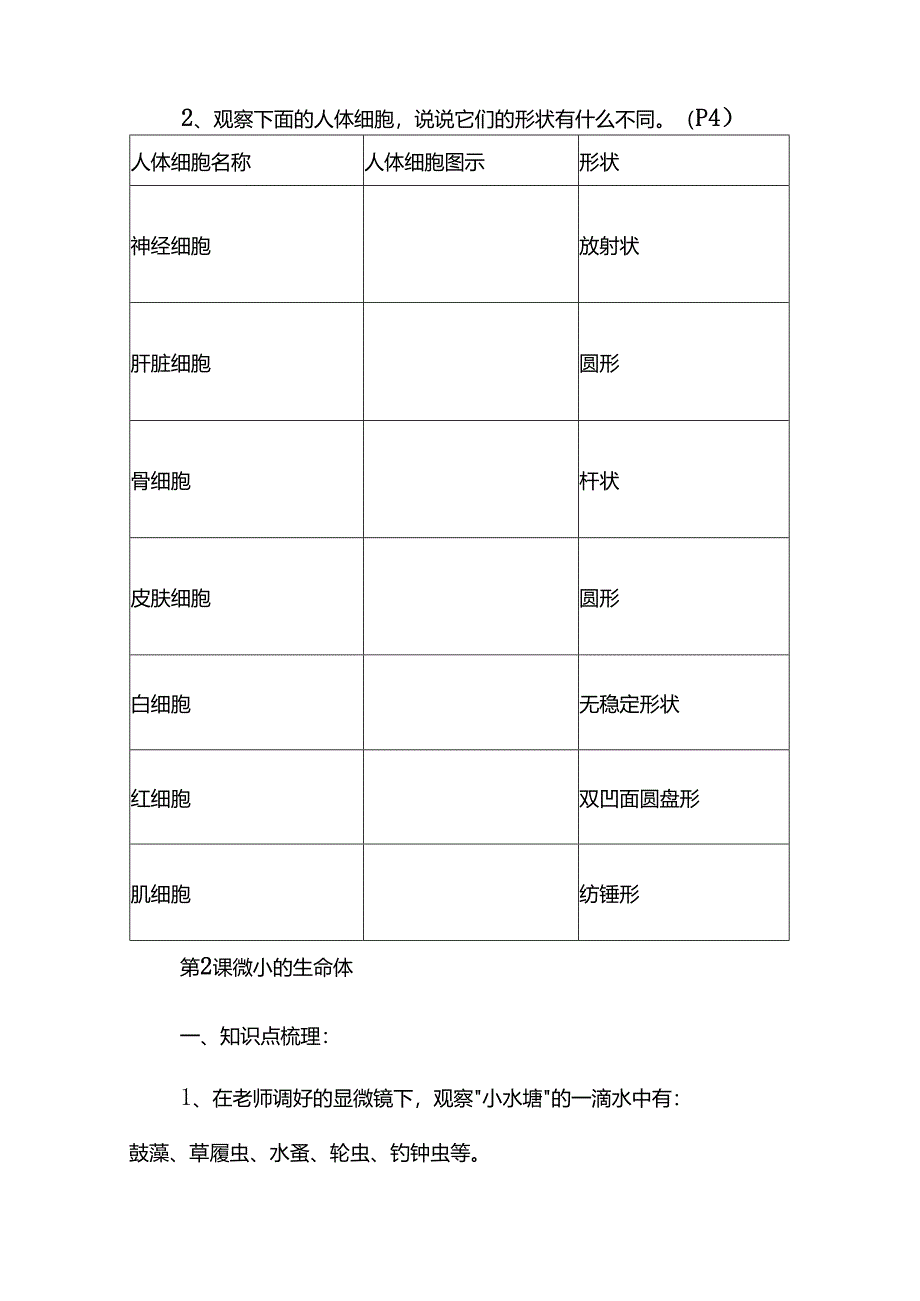 新苏教版五年级科学下册第一单元知识点总结.docx_第2页