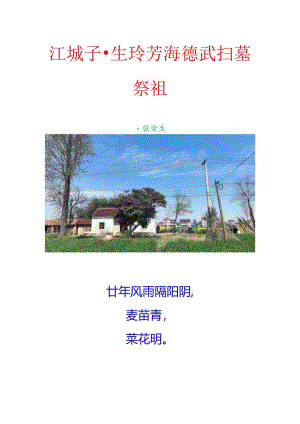 江城子-生玲芳海德武扫墓祭祖.docx