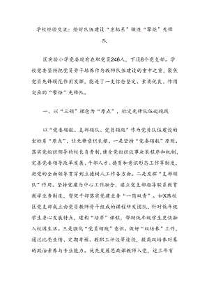 学校经验交流：绘好队伍建设“坐标系”锻造“擎炬”先锋队.docx