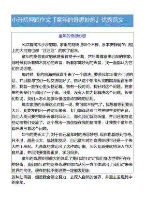 小升初押题作文童年的奇思妙想优秀范文.docx