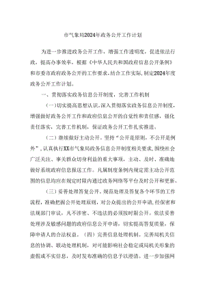 市气象局2024年政务公开工作计划.docx