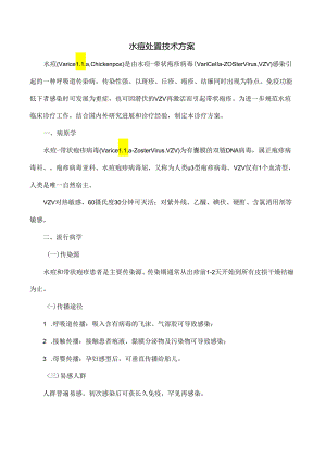 水痘处置技术方案.docx