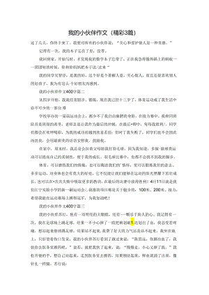 我的小伙伴作文（精彩3篇）.docx
