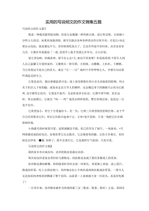 实用的写说明文的作文锦集五篇.docx