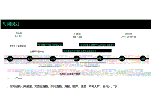 房地产营销策划 -文旅小镇景区年度营销全案【旅游】【景区音乐节】.docx