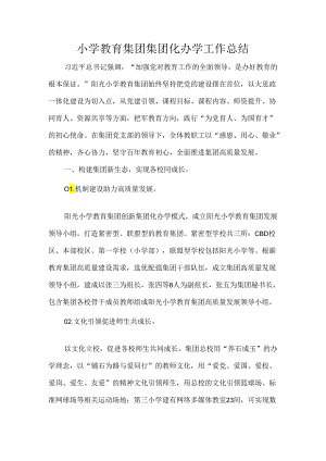 小学教育集团集团化办学工作总结.docx