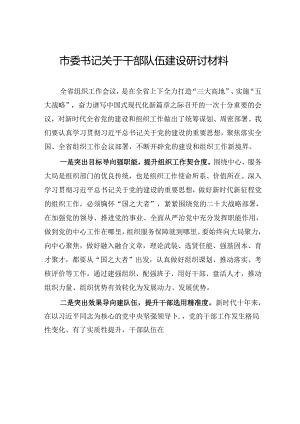 市委书记关于干部队伍建设研讨材料.docx