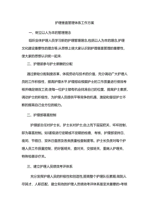 护理垂直管理体系工作方案.docx