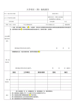 项目（预）验收报告.docx