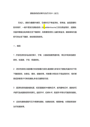 膀胱损伤的诊断与治疗2024（全文）.docx