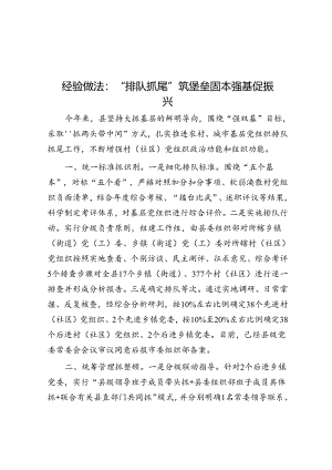 经验做法：“排队抓尾”筑堡垒 固本强基促振兴.docx