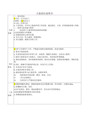 病区大夜岗位说明书.docx