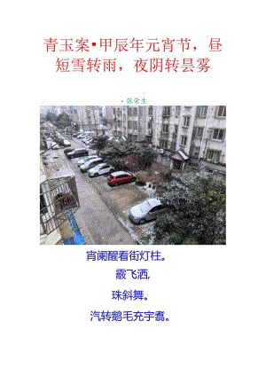 青玉案-甲辰年元宵节昼短雪转雨夜阴转昙雾.docx