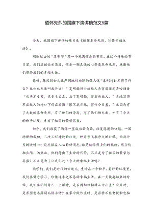缅怀先烈的国旗下演讲稿范文5篇.docx