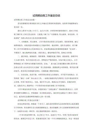 试用期自我工作鉴定总结.docx