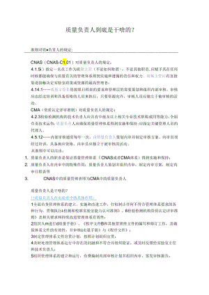 质量负责人到底是干啥的.docx