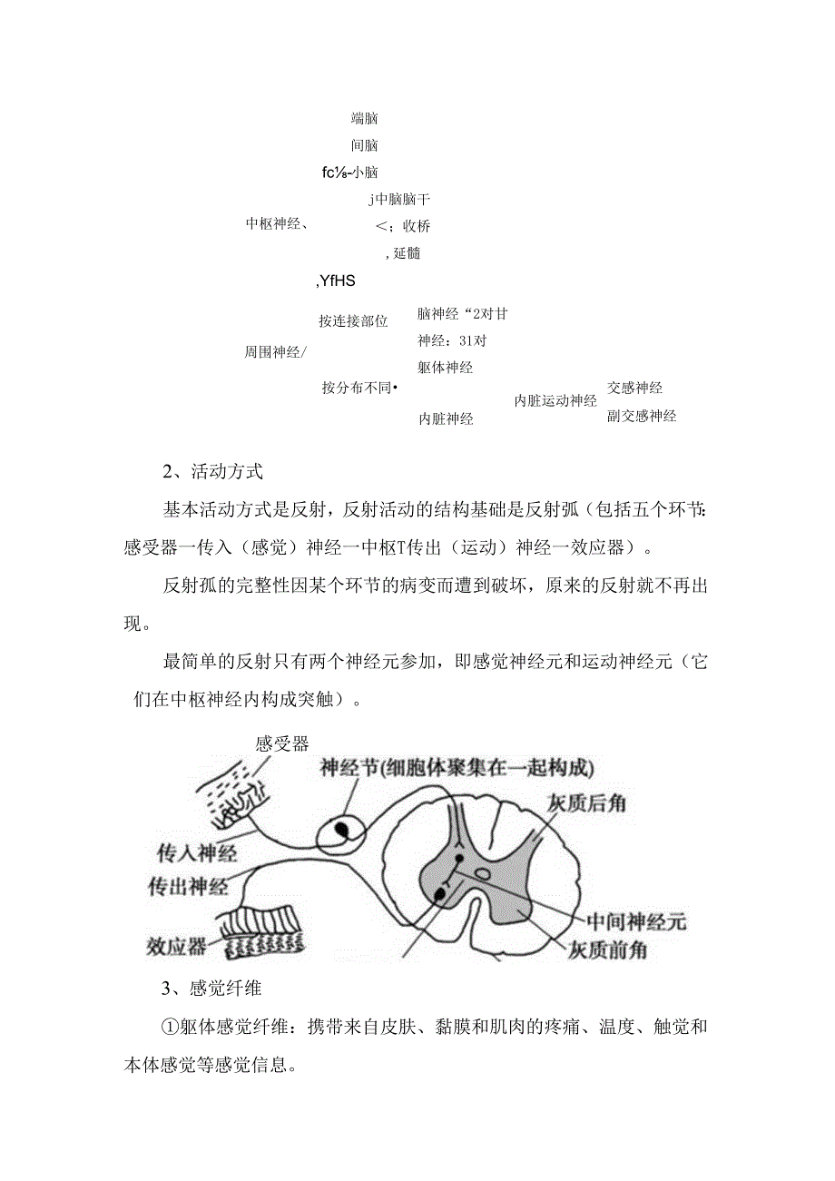 神经系统及十二对脑神经基本介绍.docx_第2页
