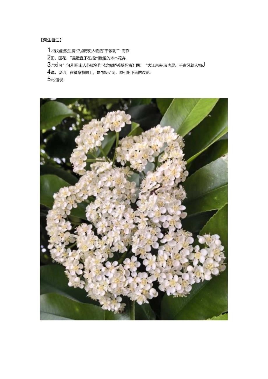 七绝-北濠桥孙大包儿店门外享用荠菜馄饨观赏琼花.docx_第3页