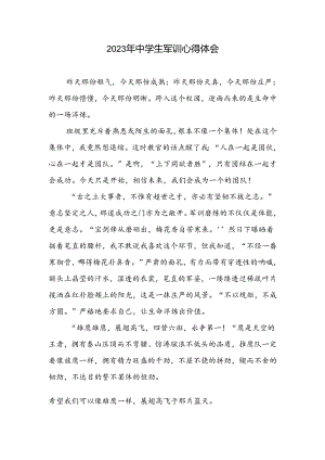 中学生军训心得体会.docx