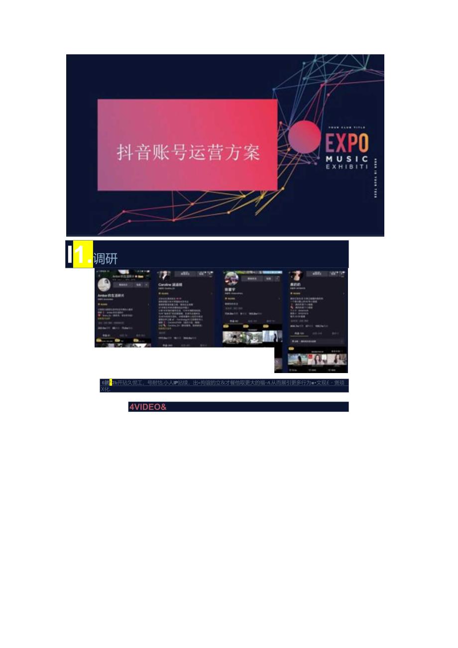 【抖音方案】个人抖音账号打造执行方案-抖音账号运营方案双份资料.docx_第1页