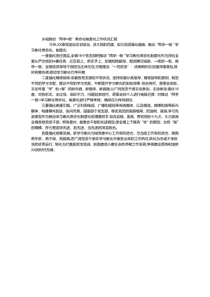 乡镇推动“两学一做”常态化制度化工作情况汇报.docx