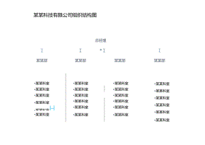 公司企业组织结构图.docx