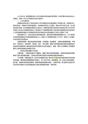乡镇农业项目建设工作自查报告.docx