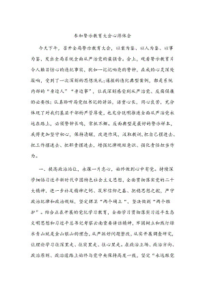 参加警示教育大会心得体会.docx