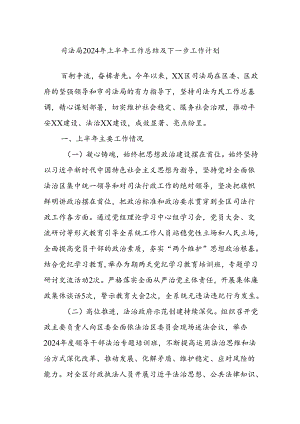 司法局2024年上半年工作总结及下一步工作计划.docx