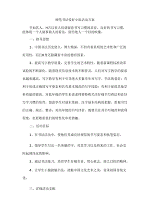 书法小组活动方案.docx