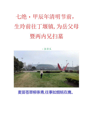 七绝-甲辰年清明节前生玲前往丁堰镇为岳父母暨两内兄扫墓.docx