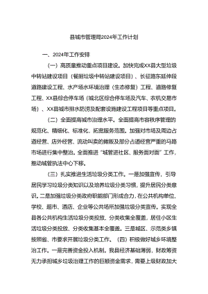 县城市管理局2024年工作计划.docx