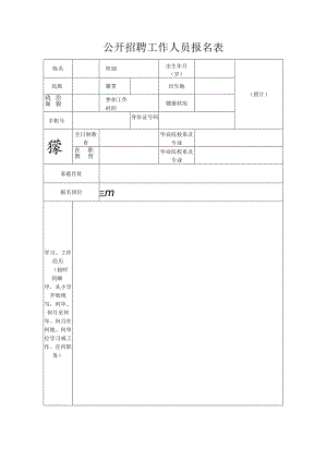 公开招聘工作人员报名表.docx