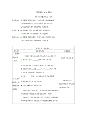 《抓住细节》教案.docx