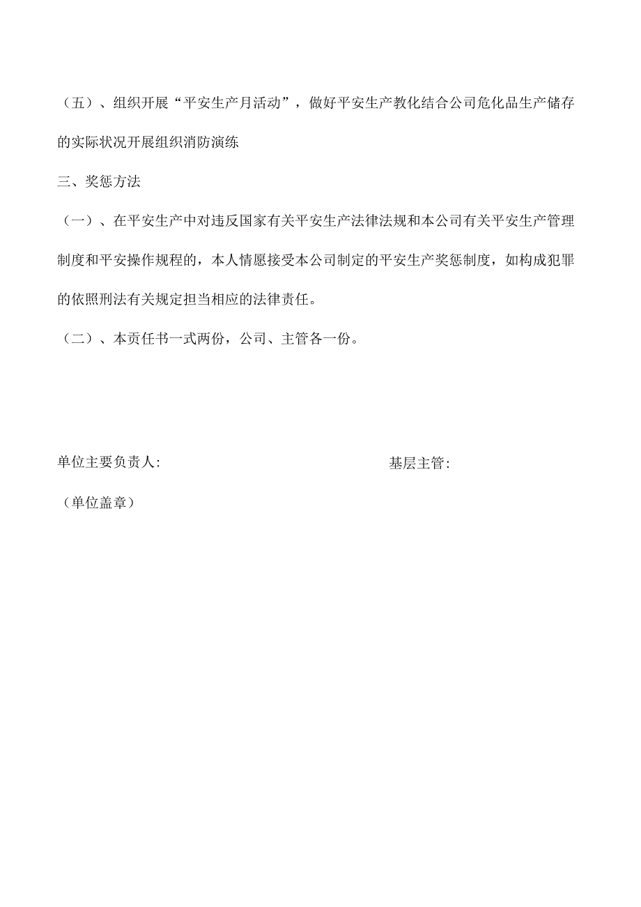 主要负责人安全生产责任书.docx_第3页