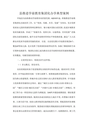 县推进学前教育集团化办学典型案例.docx