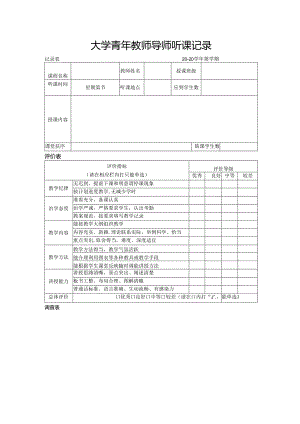 大学青年教师导师听课记录.docx
