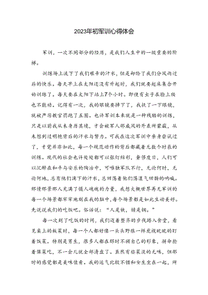 初军训心得体会.docx
