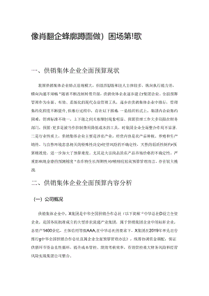 供销集体企业全面预算面临的困境及策略探讨.docx