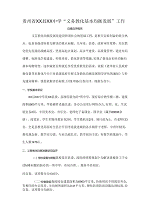 义务教育均衡发展自查自评报告.docx