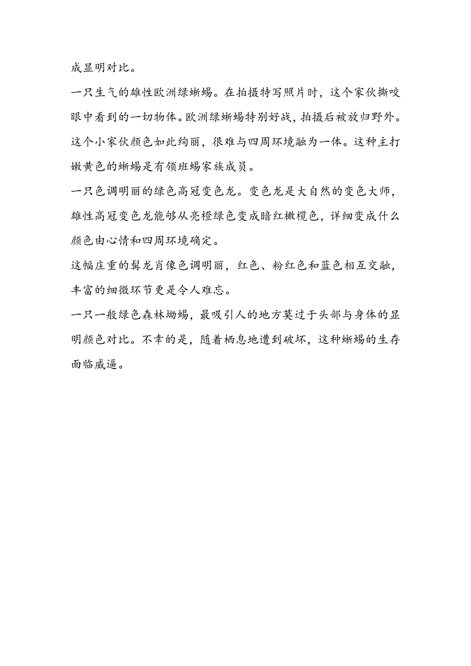 二十种色彩绚烂蜥蜴：雄性七彩变色龙变色吸引异性（组图）（下）.docx_第2页